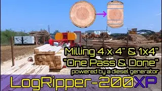 Woodlandia LogRipper-200XP milling 4x4