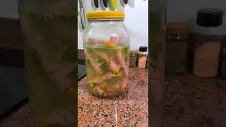 Petisco Sacanagem de Mortadela - Ana Maria Brogui