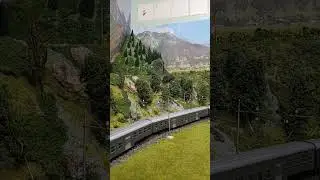 E646 170 treno vicinale short