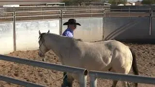 Brad Barkemeyer: Handling a Hard-to-Catch Horse