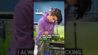 Best aquarium hack ever! 🧤😁