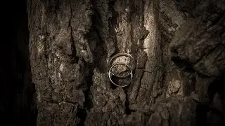 The Love Series Reel