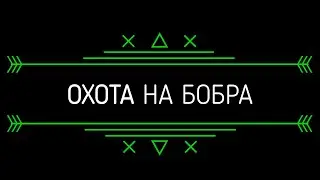 ОХОТА НА БОБРА СЕЗОН ОХОТЫ 2024 МАРТ МЕСЯЦ
