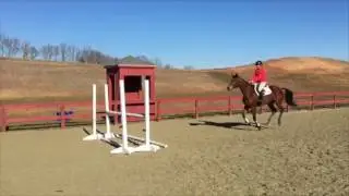 Godiva GS