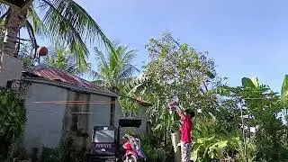 slow mo perfect shooting form