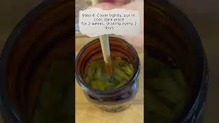 Sage Tincture part 3 