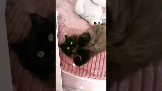 Удобненько 🥰 