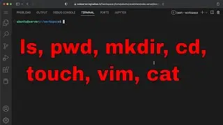 Essential Linux Commands: ls, pwd, mkdir, cd, touch, vim, cat