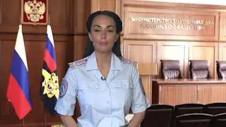 Комментарий Ирины Волк МВД РФ