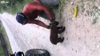 Спасли медвежонка Прикол! Смех! Юмор!