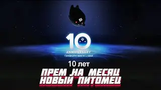 Black Desert Mobile 🎁 КУПОН НА ПРЕМ И НОВЫЙ ПЕТ 🎁