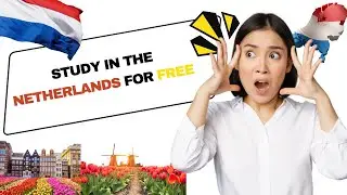 Study in the Netherlands for Free |Process | Scholarships #abroad #netherlands #scholarship #trend