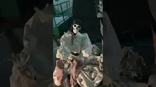 Pirates Life for Me