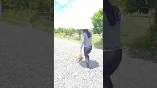 Taking our Dog Lulu out to our farm