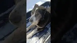 Всегда со мной! Верный друг!