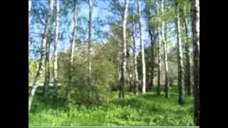 Подмосковные посторы Муз. Ольги Богдановой Сл. Людмилы Ларкиной