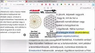 Transzlokáció