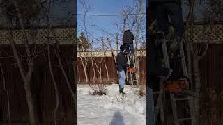 Понижаем изгородь из боярки