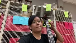 We Three Kings Rock Bass tutorial
