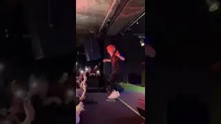 #shyne