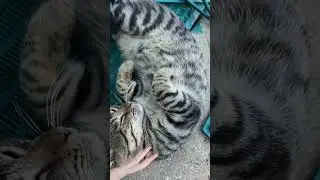 19 августа 2024 г.
