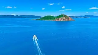 THIS Place Is Amazing! (Tropical Island Fishing Challenge)