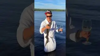 Осётр на мангале. Рецепт в описании.
