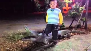 Video Bao Bao7