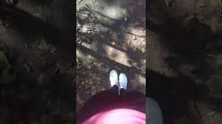 Прогулка в летний день Юнтолово Спб