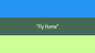 "Fly Home"