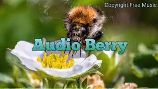 Copyright Free Music 