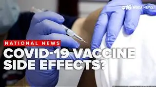 Senate investigates what health officials knew about COVID 19 vaccine side effects