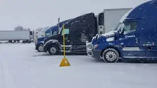521