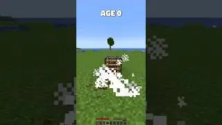 Parkour at different Age (World's smallest violin) #minecraft #shorts
