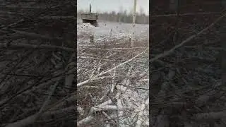 колем пилим дрова зимой, все о нашей работе