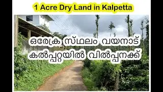 1 Acre Plot for Sale in Kalpetta Wayanad | കൽപ്പറ്റയിൽ സ്‌ഥലം വിൽപ്പനക്ക്