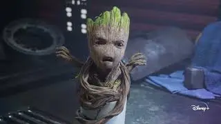 groots HA HA