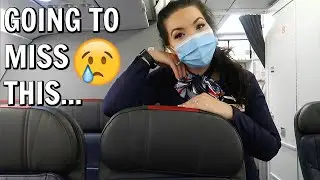 Enjoying My Last Month Flying ❤️✈️ | Flight Attendant Life - Vlog 2020