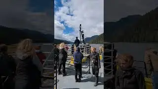 Wildlife Encounter in Prince Rupert BC Canada. 🦦🦅🐻🇨🇦