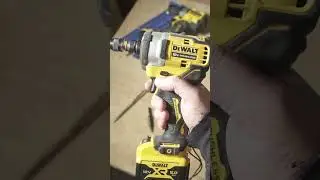 Dewalt DCD800 and DCF901 