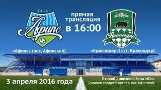 Футбол. Второй дивизион. Зона «Юг». «Афипс» — «Краснодар-2». 03.04.2016