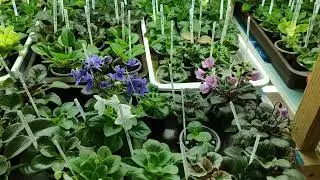 Стеллажи в апреле. Работа по заказам. Подготовка к почтовому сезону.