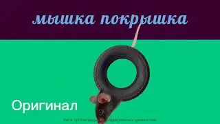Мышка покрышка но с разными голосовыми эффектами | оригинал, бурундук, глубокий, высокий, низкий