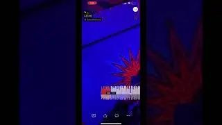 #riddim