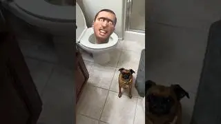 Skibidi Toilet is REAL!! 😳🚽 