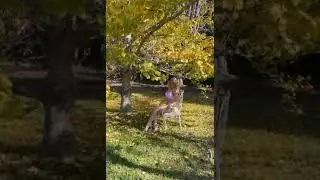 ФОТОСЕССИЯ НИЖНЕГО БЕЛЬЯ