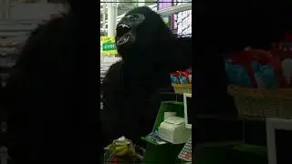 24 ЧАСА Я ГОРИЛЛА #gorilla #топ #prank #юмор #kingkong #анимация