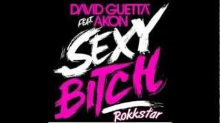 David Guetta feat. Akon - Sexy Bitch (Rokkstar Bootleg)