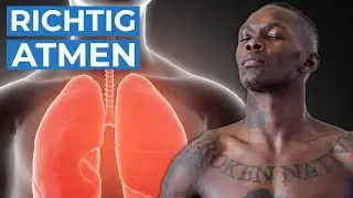 Atmen wie Israel Adesanya | Breathwork für Boxen & MMA mit Frank Roser