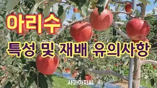 Arisu Apple Characteristics and Growing Tips | Apple Farming